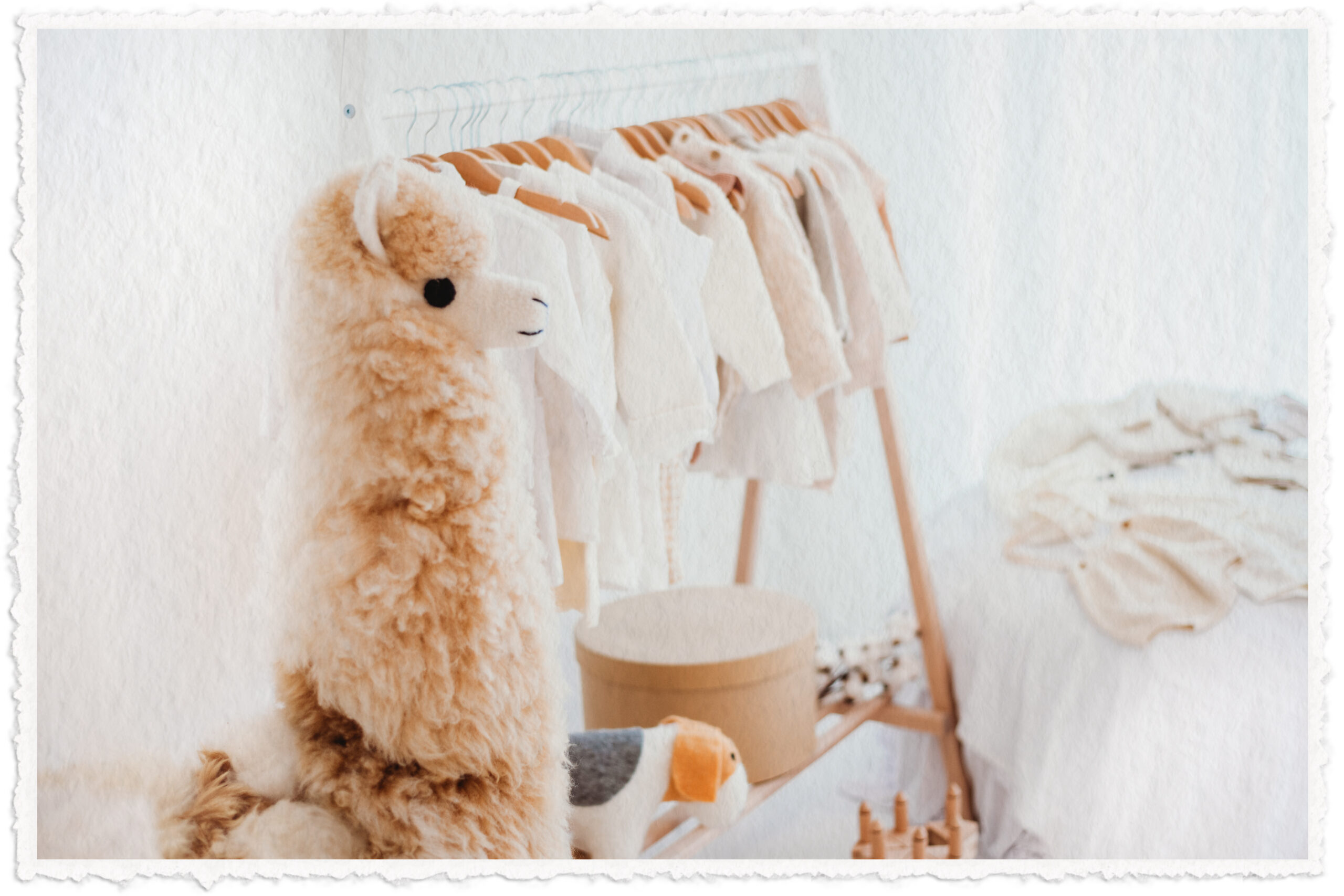 aboutthefluffpage_pictureunderAbout theserviceswords-hometohomestudio